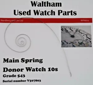 Reloj de bolsillo Waltham 10/10s resorte principal para grado 543 WP5/M01 - Imagen 1 de 2