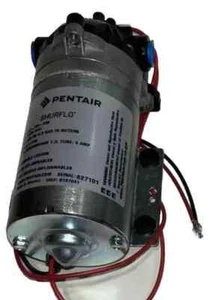 Pentair Shurflo 8000-783-238 36 V 1,6 GPM Elektrische Pumpe 100 PSI Neu KOSTENLOSER VERSAND - Bild 1 von 2