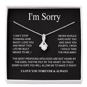 I'm Sorry Necklace Gifts, Apology Gifts For Her, Forgiveness Gift, Wife Gift - Picture 1 of 9