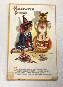 Vintage Halloween Postcard "Halloween Secrets" Owl Pumpkin Aleinmuller Germany - Picture 1 of 7