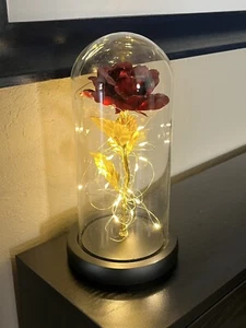 Eternal Rose Red Gold Flower in Glass Beauty And The Beast LED Girls Night Light - Picture 1 of 7