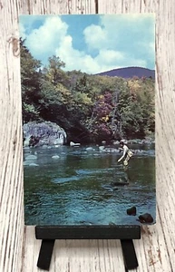 Fly Fishing for Trout, 1950s Dextone Beauty Scene Vintage Postcard - Picture 1 of 4