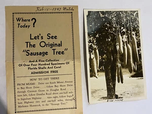 Vtg Travel Brochure & RPPC - Coconut Grove Florida - The Sausage Tree 1947 - Picture 1 of 7