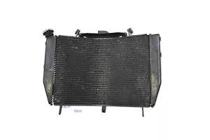 Yamaha YZF R6 Rj11 Enfriador de Agua 06-07 2006-2007 Radiador - Imagen 1 de 10