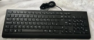 Lenovo EKB-536A wired USB keyboard QWERTY - black - Picture 1 of 2