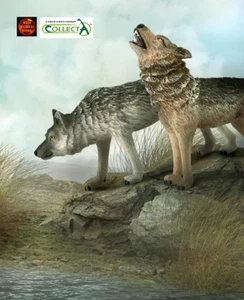 Paar Wolf Wölfe Wildtiere Spielzeug Modell Figuren Tortenaufleger von CollectA Neu - Bild 1 von 3
