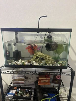 5 Gallon Fish Tank with Accessories - Image 1 of 4