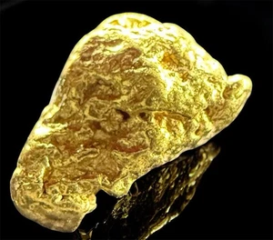 Pepita de oro puro natural genuina de 0,712 gramos Alaskan Yukon BC #AK402 - Imagen 1 de 6