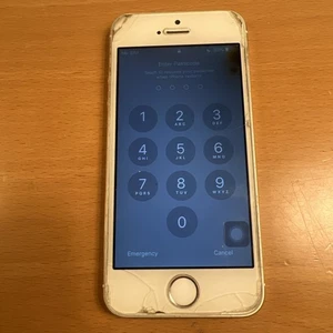 Apple iPhone 5s 16GB | Space Grau und Weiß - Bild 1 von 16