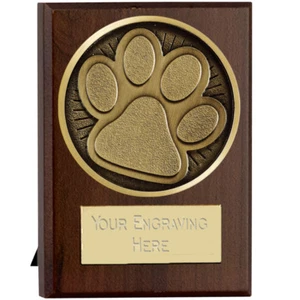 Stampa zampa cane gatto agilità obbedienza cane spettacolo premio trofeo incisione gratuita - Foto 1 di 2