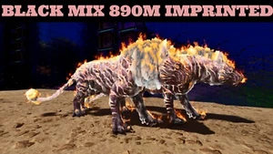 ARK Survival Ascended PvE PC/XBOX/PS5 Top Stats Pyromane (lion) Black/Pink 890m - Picture 1 of 19