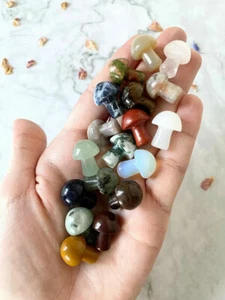 5/10PCS Mini Mushroom Natural Crystal Carving Quartz Massage Healing Reiki Stone - Picture 1 of 14