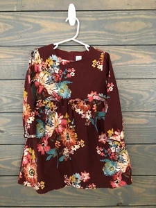 Beautiful Baby Gap Girls Dress Size 4 Years Perfect Fall/Thanksgiving Dress - Picture 1 of 2