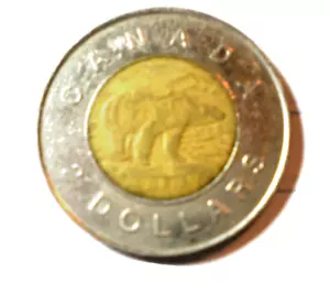 1996 Canadian 2 Dollar Coin Queen Elizabeth II &Polar Bear - Picture 1 of 2
