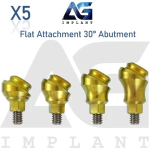 5 abgewinkelte 30° Flachaufsätze Titan Prothesensystem Int Hex - Bild 1 von 8