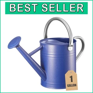 Premium Galvanized Steel Watering Can - 1 Gallon, Ergonomic Handles, Navy Design - Picture 1 of 9