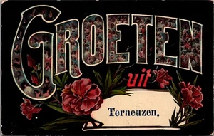 Niederlande Groeten Uit Terneuzen Postkarte B253 - Bild 1 von 2