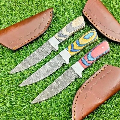 Lote de 3 PIEZAS Cuchillos desolladores de acero Damasco hechos a mano - Cuchillos de caza Z-5364 Foto 1 de 4