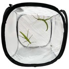Pop Up Net Insect Cage - For Butterflies, Moths, Stick Insects, Caterpillars