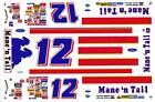 #12 Mane N Tail Bobby Allison 1/32nd Scale Slot Car Decals