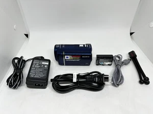Sony Handycam DCR-SX40 Camcorder 60x Zoom 4GB Internal Memory Bundle - Picture 1 of 14
