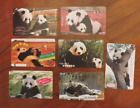 7 NICE JAPAN CARDS OF PANDAS  COLLECTORS ITEMS. NO VALUE. LOT 3