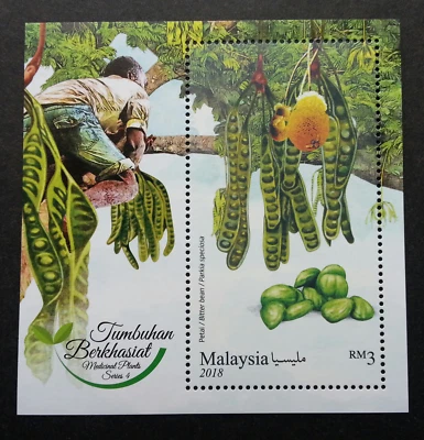 *FREE SHIP Malaysia Medicinal Plants IV 2018 Fruits Food Flower Tree (ms) MNH - Image 1 of 4