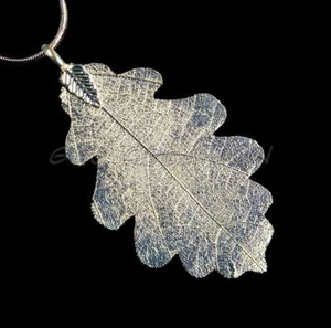 Colgante chapado en plata de hoja de roble real, joyería. - Imagen 1 de 1