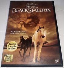 Young Black Stallion ( Disney DVD, 2004 )
