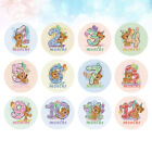  12 Pcs Newborn Stickers Childrens Gifts Baby Girl Milestone Monthly Animal