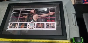 WWE 2014 HELL IN A CELL GENUINE AUTHENTIC 24X16 FRAMED RING CANVAS LIMITED 6/500 - Picture 1 of 8