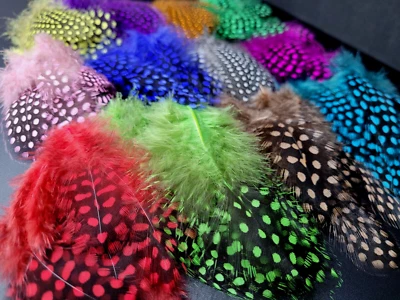 BIG HIT FLY CO GUINEA FOWL FEATHERS - Fly Tying Materials - 12 COLORS - Fly Tying Feathers NEW