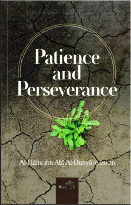 Patience and Perseverance - Image 1 of 4