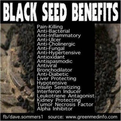 Semilla negra orgánica 100 % pura en polvo nigella sativa Habbasyi comino kalonji 100 gms Foto 1 de 3