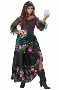 Mystical Charmer Fortune Teller Gypsy Adult Halloween Costume - Picture 1 of 1