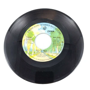 Shaun Cassidy Record 7” 45 RPM Hey Deanie And Strange Sensation Untested As Is - Picture 1 of 2