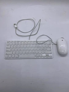 Apple A1242 Wired Keyboard A1152 Mighty Mouse Set USB Mac White Tested - Picture 1 of 7