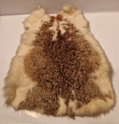 B1 Echt Kaninchenfell Fell Hase Leder Teppich Wandbehang Echtfell - Bild 1 von 4