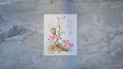 Current Blank Note Card w/ Milkweed & Flowers Meadow Blossoms by Dick Dahlquist - Image 1 of 2