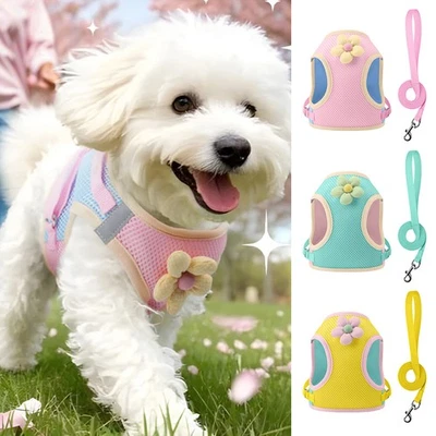 Outdoor Pet Reflective Vest Harness Dog Breathable Chest Straps Adjustable∂ - Image 1 of 4