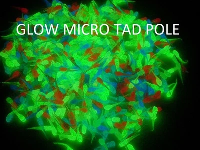 STAFFS FISHING LURES MICRO TAD POLE Assorted GLOWS Soft Plastic Fishing Lure Bait Crappie Ice Fishing