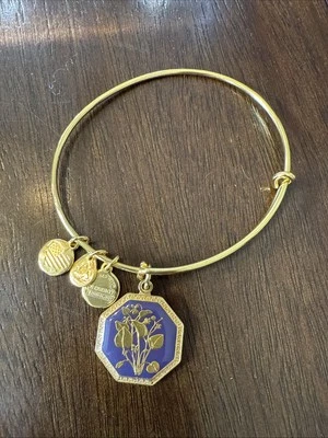 ALEX & ANI + подарки фиолетовый февраль соблазненный невинностью браслет золотистый браслет - Изображение 1 из 2