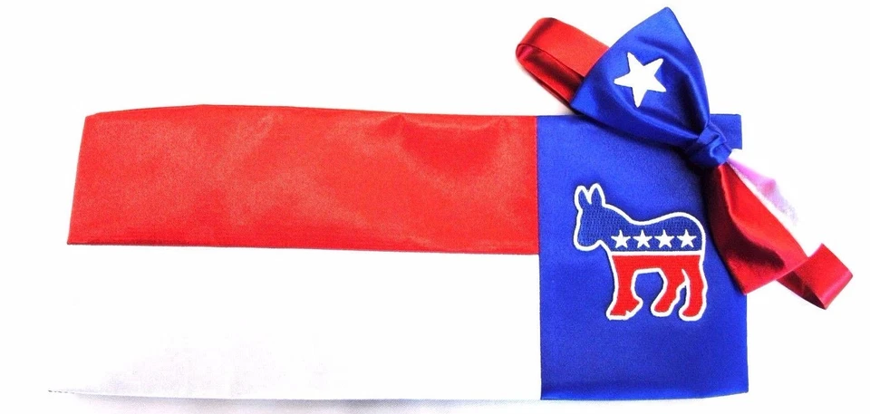 Juego de pajarita y pajarita Vote Democratic Foto 1 de 1