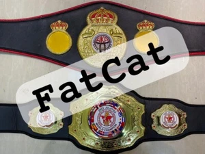 WKA & Ju-jitsu 2023 World Karate Kick Boxing Championship boxing Belt 2 Belts - Picture 1 of 5
