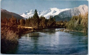 MENDENHALL RIVER Alaska AK - Postcard - Picture 1 of 2