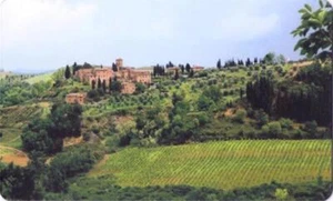 Tuscany Italy Gorgeous Souvenir Magnet - Picture 1 of 1