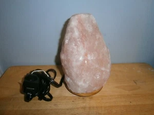 8" WBM Himalayan Glow Hand Carved Natural Crystal Dimming Salt Lamp Free Ship - Picture 1 of 4