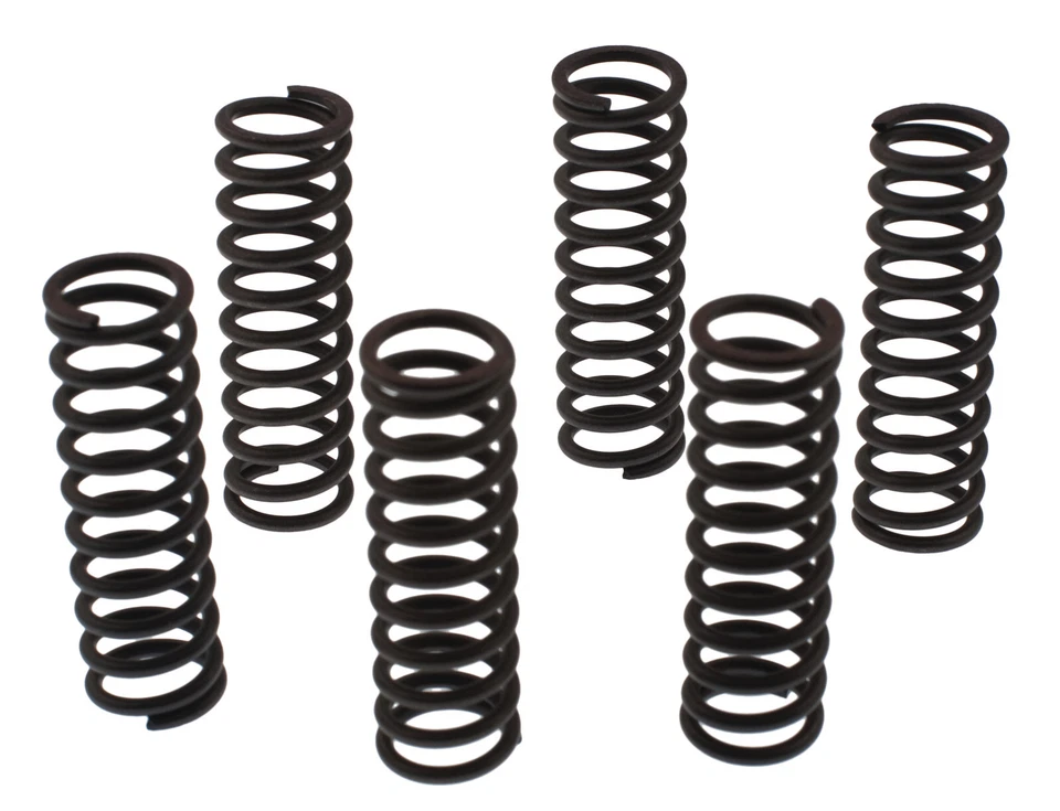 Molle frizione XTZ750 TDM850 TRX850 EBC rinforzate CSK017 Clutch Springs - Immagine 1 di 1