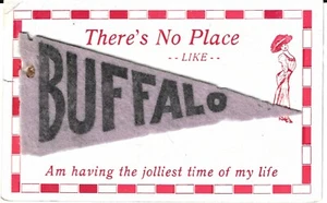 U.S. - RPO - BUFFALO, N.Y. & SALAMANCA ON CARD WITH FELT "BUFFALO" PENNENT - Picture 1 of 2