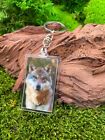 Dog Shiba Inu 3D Key Ring Acrylic Lucky Charm Grey Husky